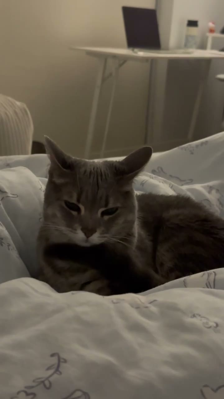 A quiet video moment.