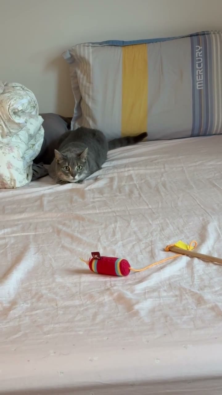 Gotcha!